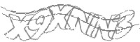 Check code
