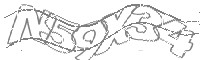 Check code