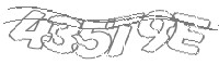Check code