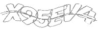Check code