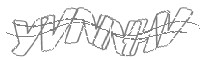 Check code