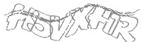 Check code