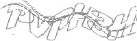 Check code