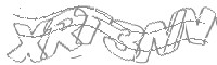 Check code