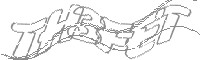Check code