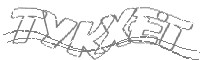 Check code