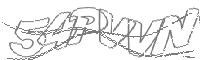 Check code