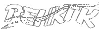 Check code