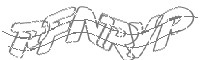 Check code