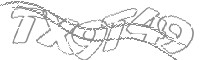 Check code