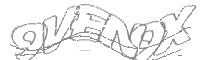 Check code